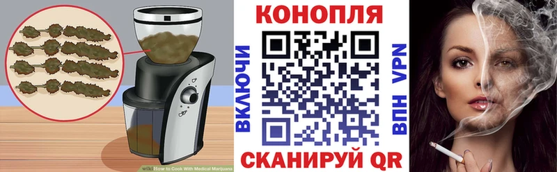 shop наркотические препараты  Гусев  Cannafood конопля 