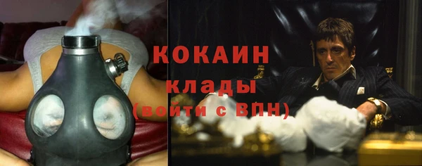 соль курить ск Белокуриха