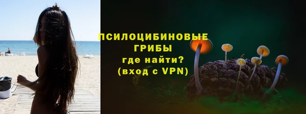 соль курить ск Белокуриха