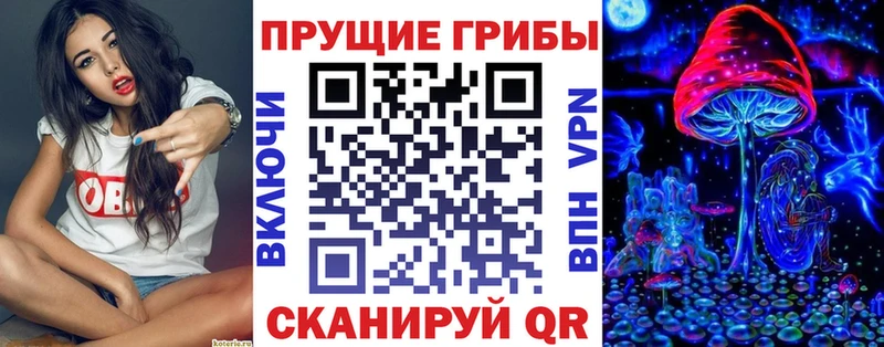 mega онион  Гусев  Галлюциногенные грибы Cubensis 