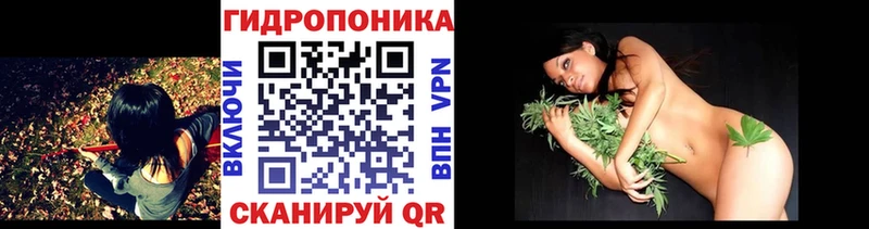 Конопля SATIVA & INDICA  Гусев 